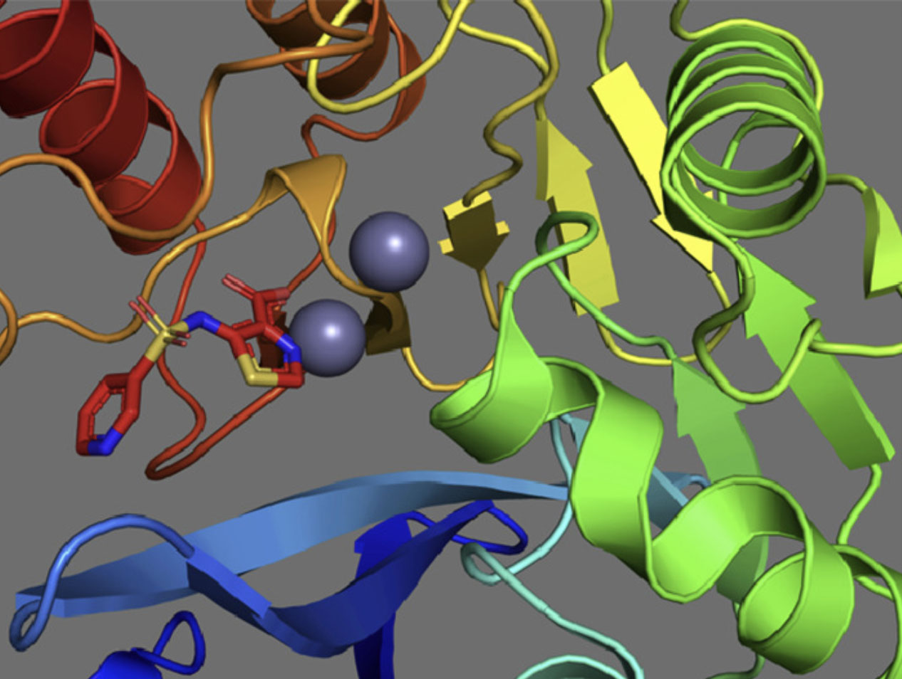 Crystal structure of the metallo-beta-lactamase protein