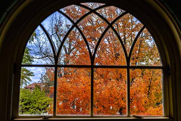 Colorful fall leaves framed by a leaded glass window in mcguffey hall
