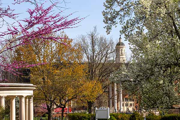 spring blooming trees frame Harrison Hall 