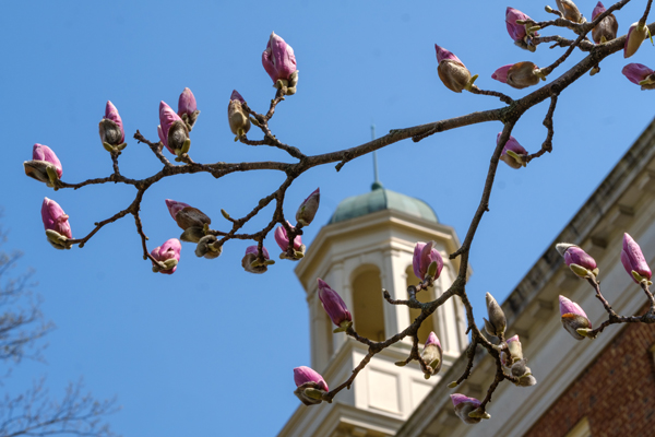 Miami University Oxford campus