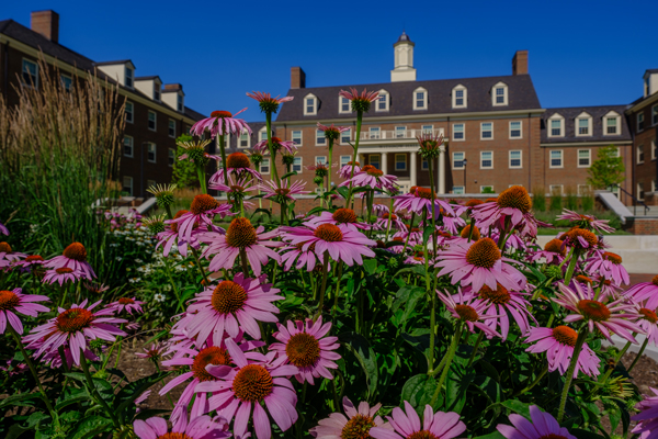 Miami University Oxford campus