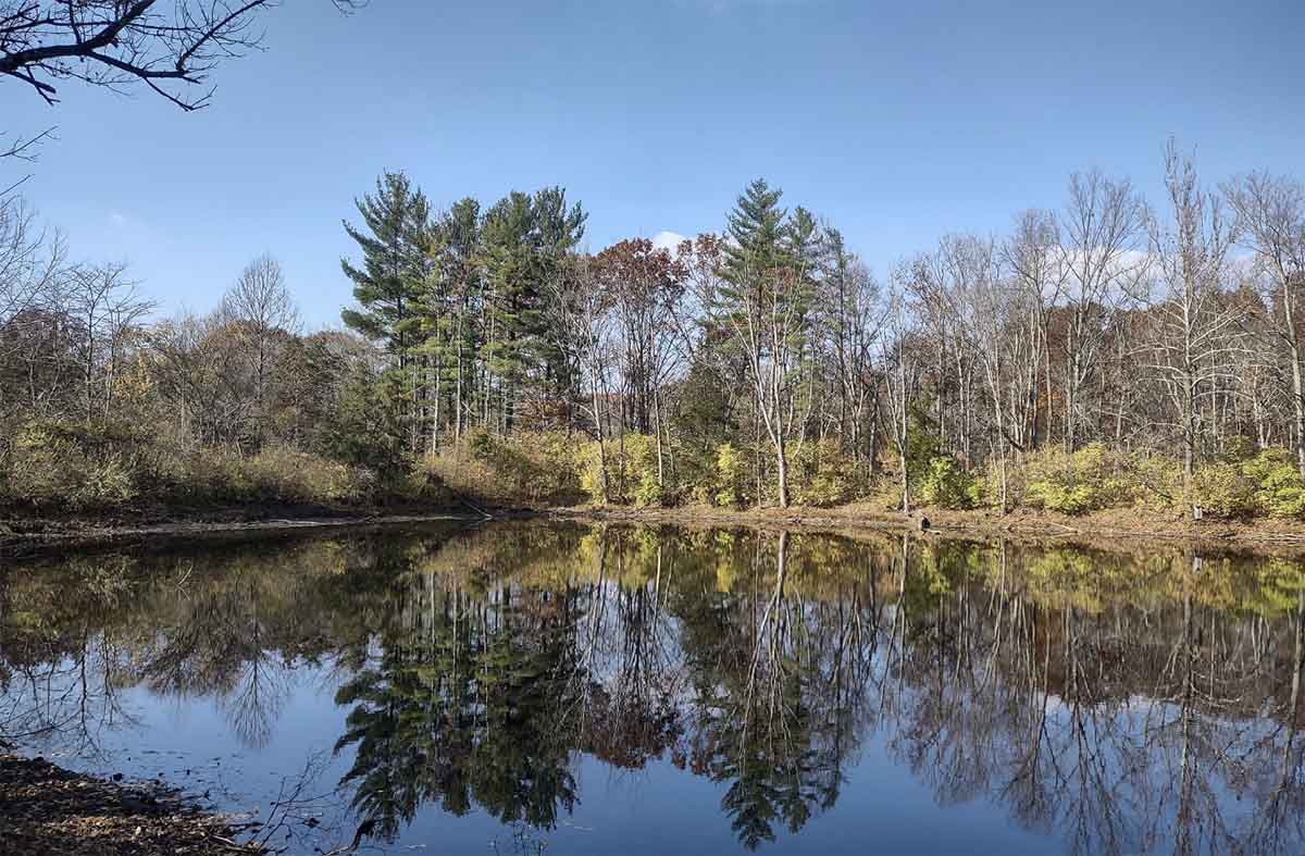 Bachelor pond and a clear blue winter sky