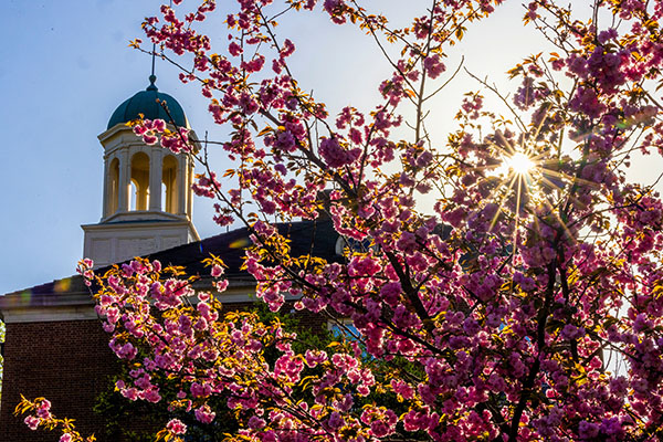Miami University Oxford campus