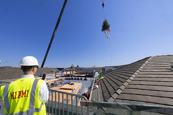 Bachelor Hall tree topping