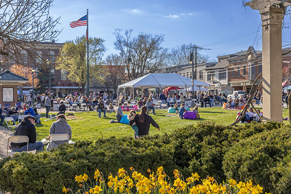 Uptown parks lawn with many people enjoying the Bee Festival