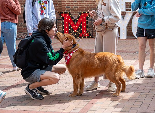 Newton the therapy dog greets a student in front of a large Miami M