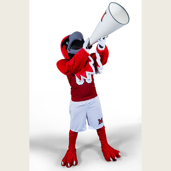 Miami University mascot Swoop