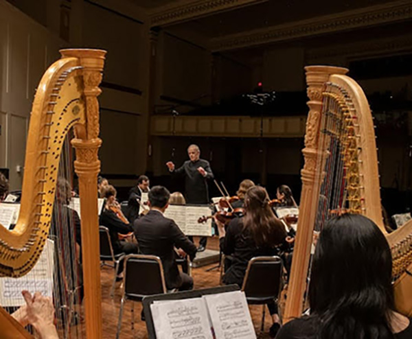 MUSO viewed from between 2 harps,  looking toward the front of the stage and  Ricardo Averbach conducting