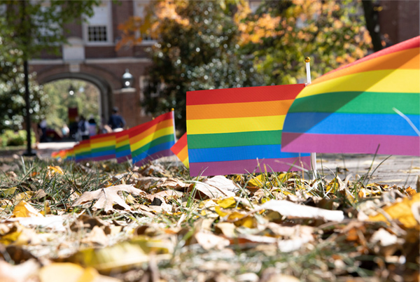 pride flags lining a sidewalk on campus